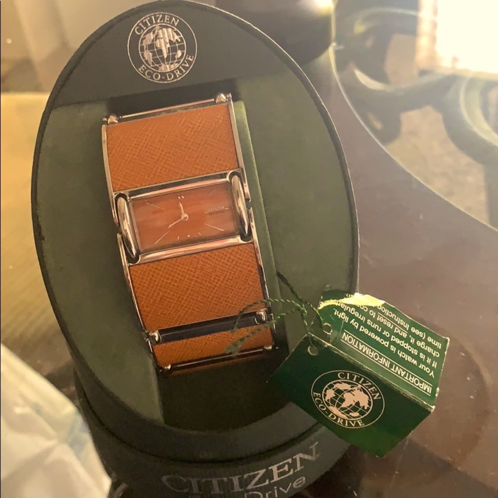 Citizen Eco-Drive Watch